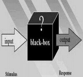 picture of Newton's black box physics